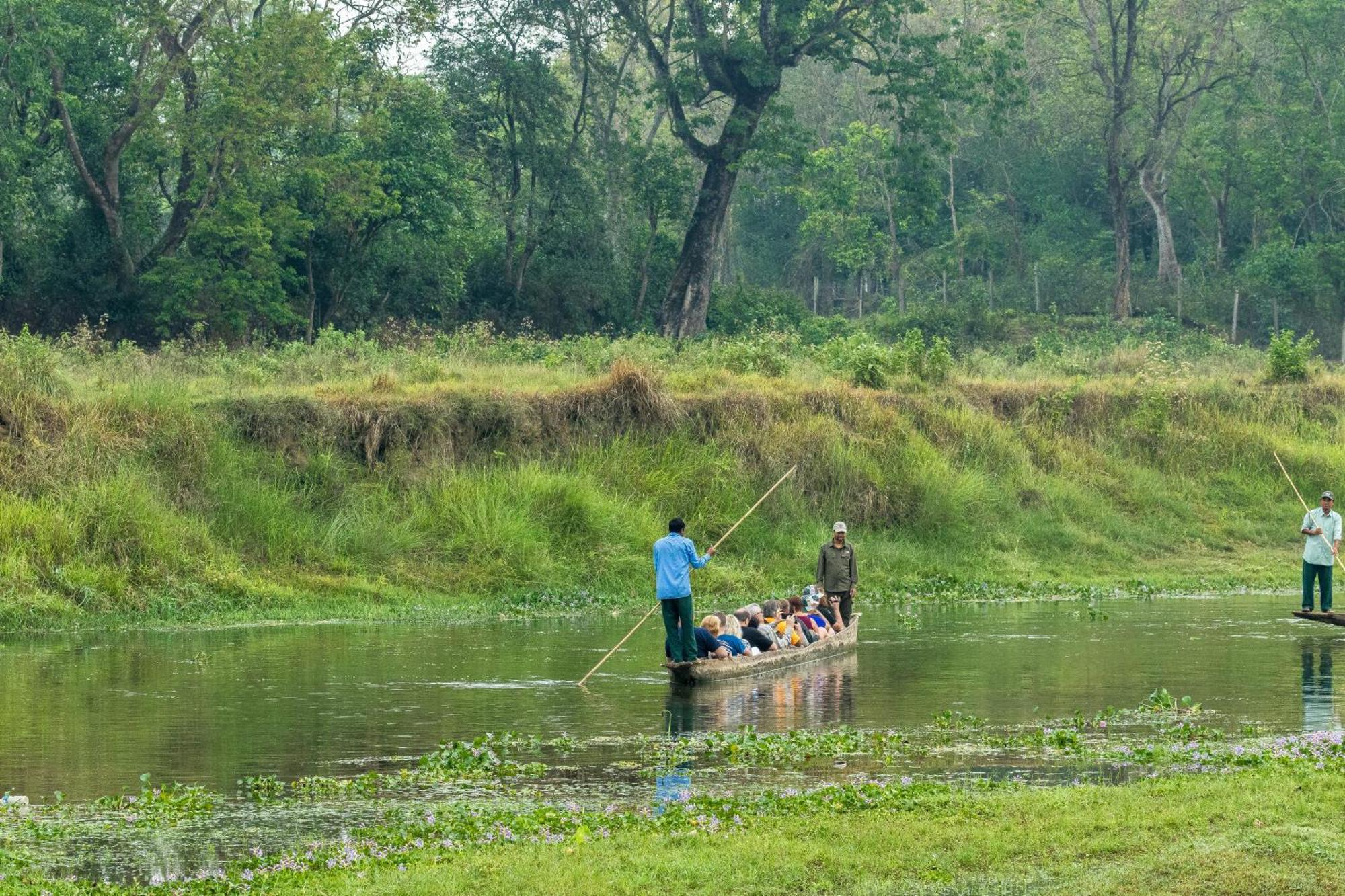Hotel Riverside With Swimming Pool Sauraha Bagian luar foto